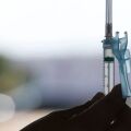 Em um ano de vacinação, quase 70% dos brasileiros já tomaram 2 doses
