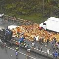 [Vídeo] Grave acidente bloqueia a BR-376, entre Santa Catarina e Paraná 