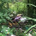  Descarte irregular de lixo é flagrado em matagal em Nereu Ramos  