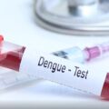 Jaraguá do Sul confirma mais duas mortes por dengue