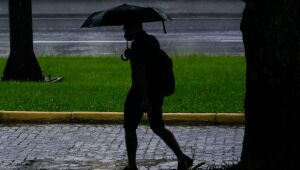 Chuvas de outubro fazem estiagem recuar em Santa Catarina, aponta Monitor de Secas