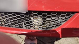 Bombeiros retiram gato preso em carro em São João do Itaperiú