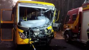 (Fotos) Motorista de ônibus escolar morre após bater na traseira de retroescavadeira em SC
