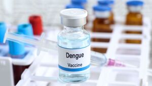 Santa Catarina recebe 15 mil doses de vacina contra a dengue