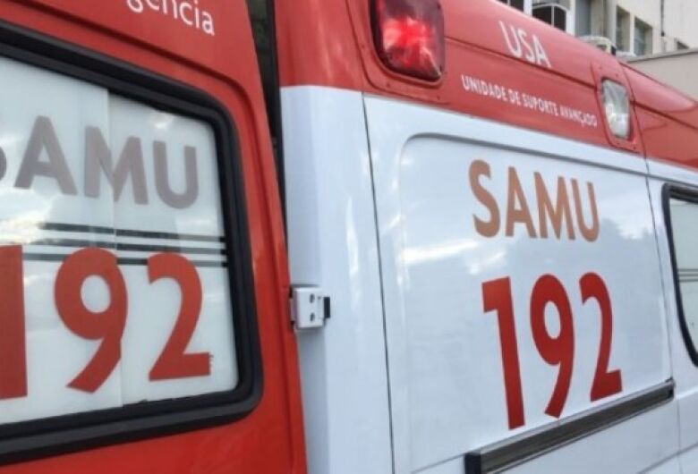 Criança morre após ser atingida por coice de cavalo em Joinville