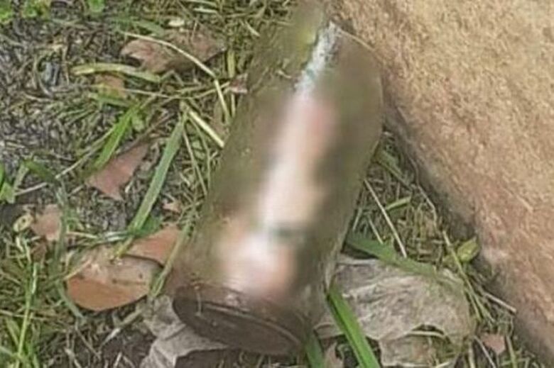 Homem encontrou pênis decepado em jardim - Crédito: Reprodução/NATALIA PEN