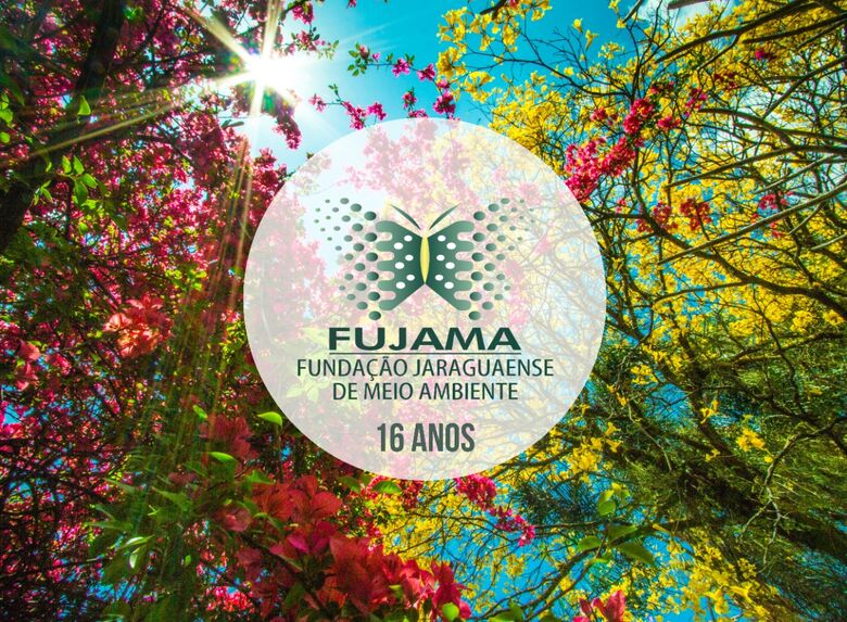 Fujama terá eventos no fim de semana para marcar os 16 anos - Crédito: Arquivo / Divulgação 