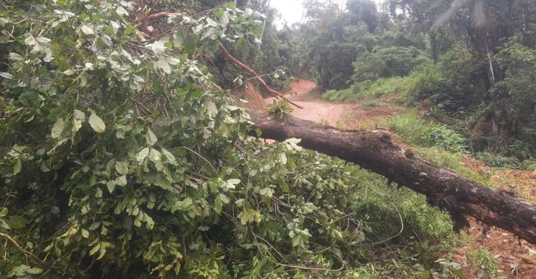 Deslizamento de terra deixa rua parcialmente interditada em Jaraguá do Sul  - Crédito: Divulgação Defesa Civil
