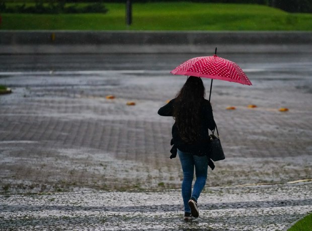 SC tem alerta de chuva forte para esta semana - Crédito: Ricardo Wolffenbüttel / Secom 