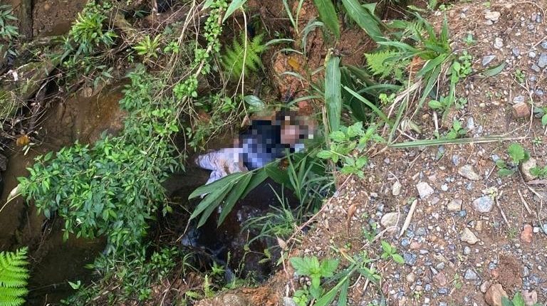 Identificado homem encontrado morto no limite entre Schroeder e Joinville - Crédito: Divulgação