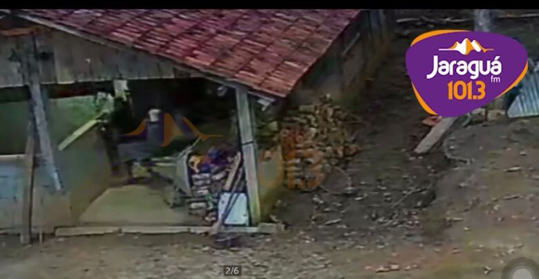 Câmeras de segurança flagram furto em chácara em Guaramirim - Crédito: Diário da Jaraguá